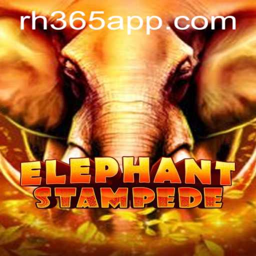 Understanding ElephantStampede: A Thrilling Adventure on RH365 APP